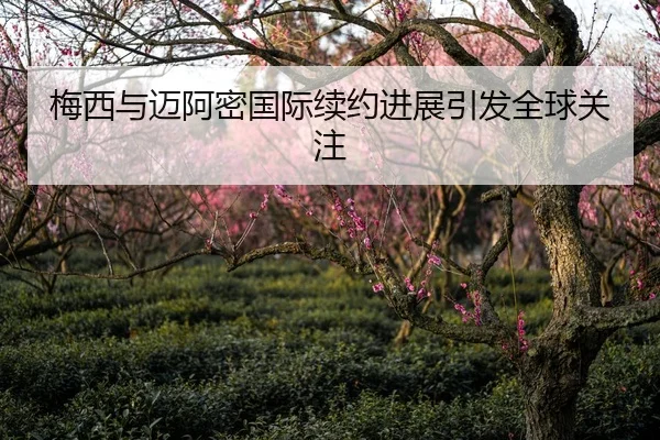 梅西与迈阿密国际续约进展引发全球关注