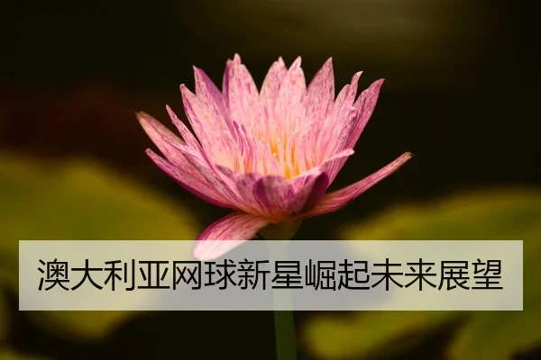 ao-da-li-ya-wang-qiu-xin-xing-jue-qi-wei-lai-zhan-wang-2-950.jpg