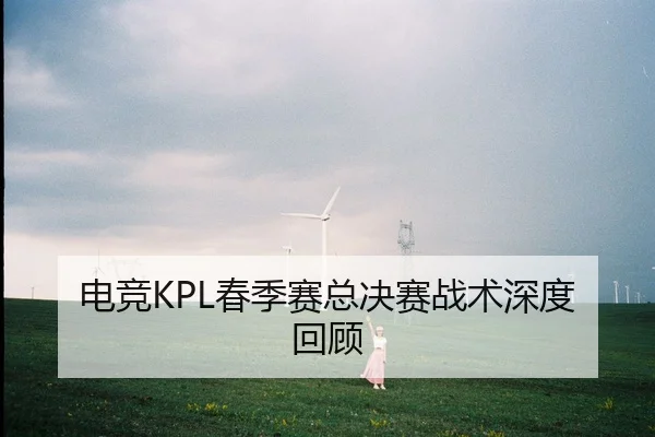 电竞KPL春季赛总决赛战术深度回顾
